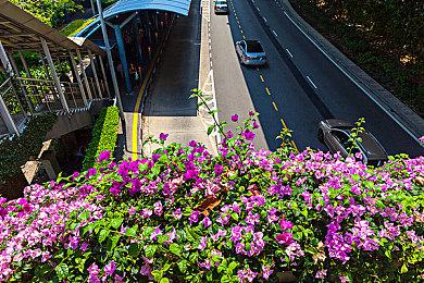 传《大富翁11》今年发售 登陆Steam和Switch